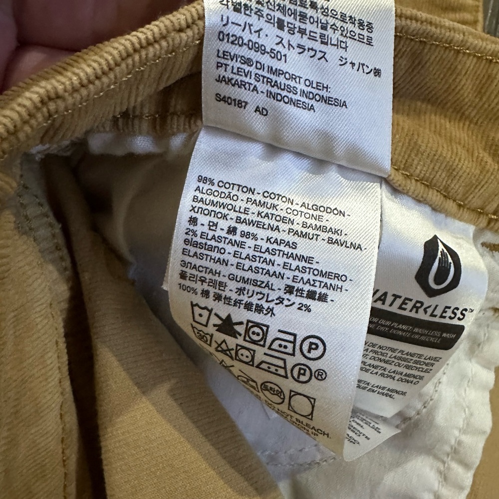Levi’s Button-Fly  Corduroy Pants - Picture 9 of 12